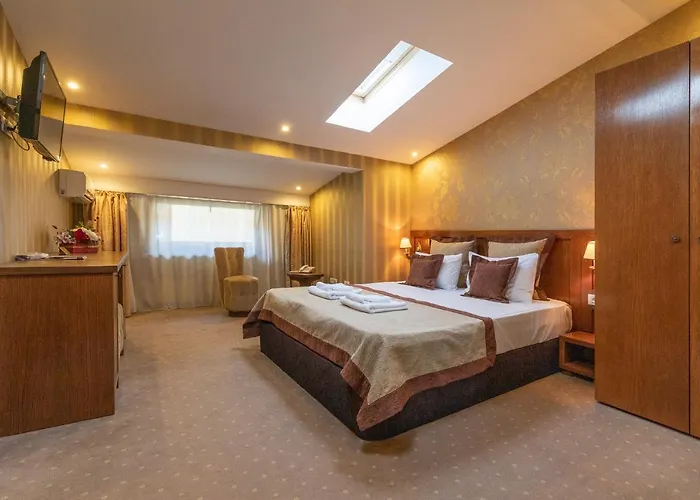 Gott ホテル ブラショフ